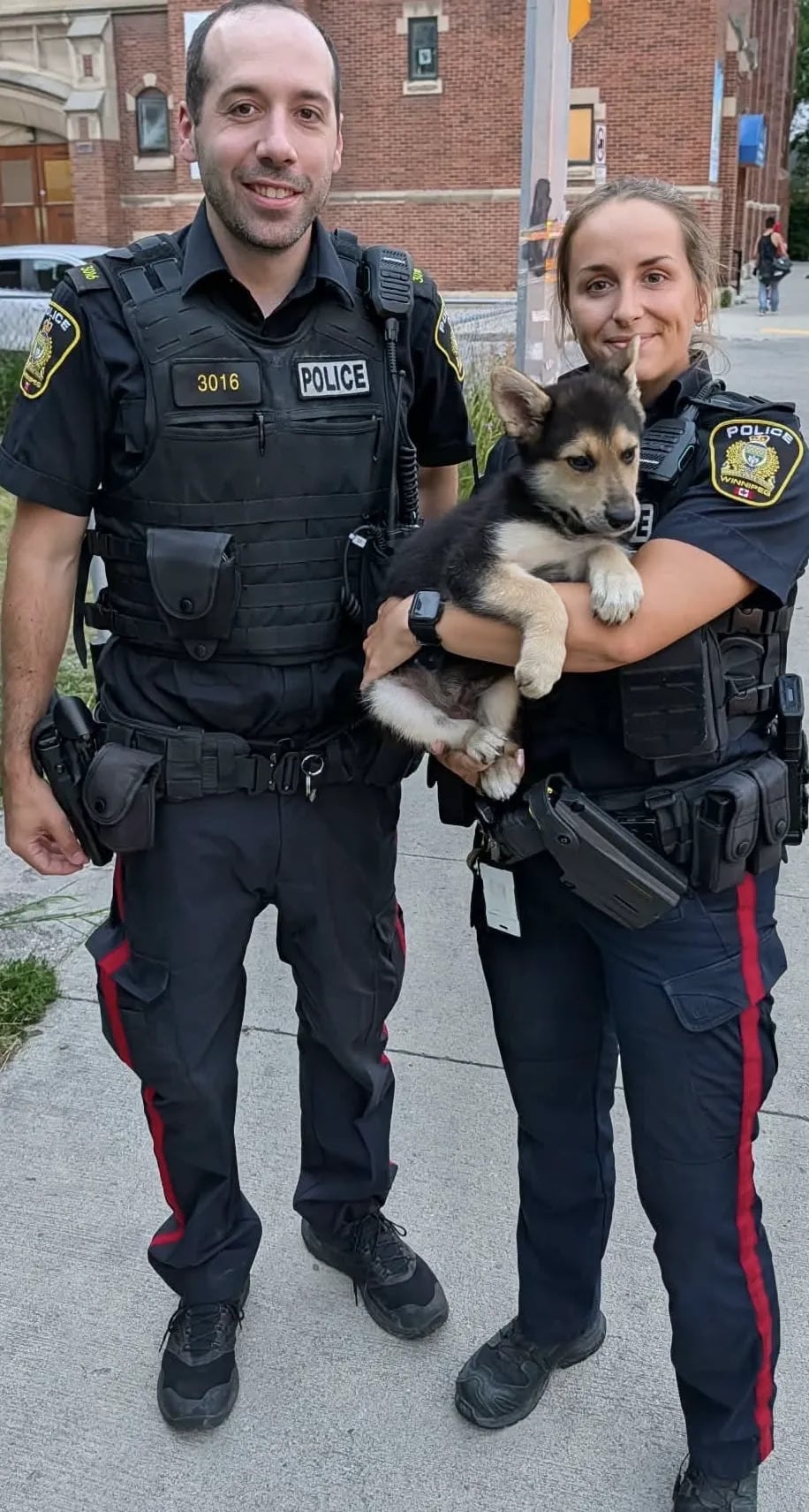 Winnipeg police hold the puppy they recovered from people inside a downtown house