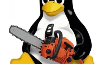 KVM chainsaw