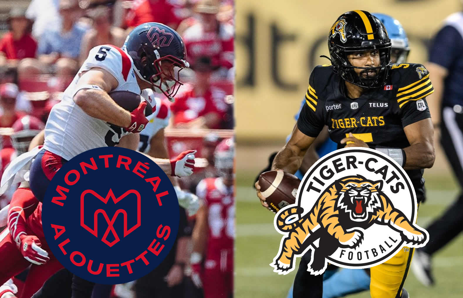CFL News Hub