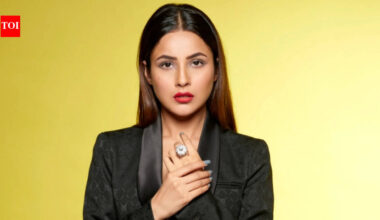 Shehnaaz Gill opens up on why Bollywood offers dried up: 'I've become star in the Punjabi film industry' |