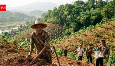 In 1996, Indonesia's 'crazy' tree planter who was mocked for his mission planted 11,000 trees and turned barren hills into a green paradise | World News