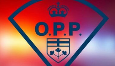 Ottawa man dies in crash north of Napanee