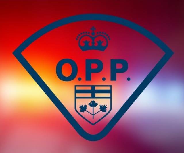 Ottawa man dies in crash north of Napanee