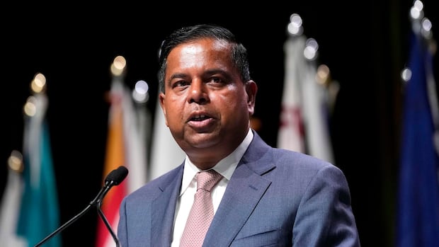Ottawa vows to 'get to the bottom' of spying allegations against Canadian NATO intern