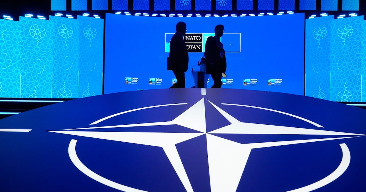 Canada NATO spy: Experts flag RCMP, CSIS vetting process
