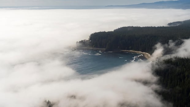 Evacuations underway on B.C.'s West Coast Trail as rain makes Vancouver Island hike 'impassable'