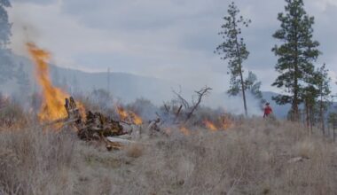 As Trump threatens wildfire smoke tariffs, Canada looks to reduce fire risk