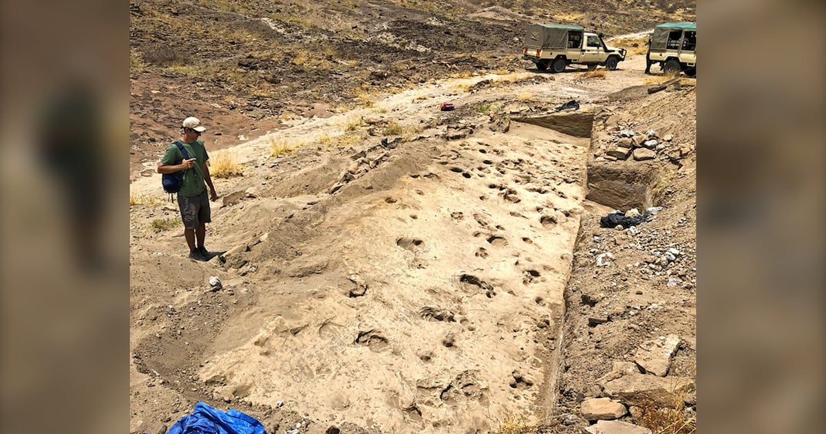 Kenya footprints against ideas on extinct human relatives