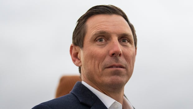 Patrick Brown seeking 3rd term as Brampton mayor