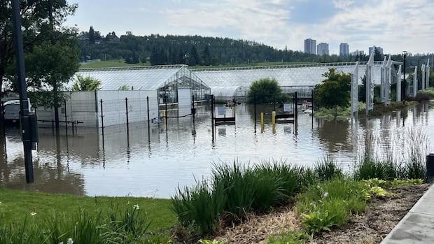 Edmonton's Muttart Conservatory, Elk Island National Park among attractions closed due to flooding