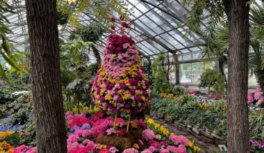 Allan Gardens could get a major greenhouse expansion if the city puts in $10M: councillor