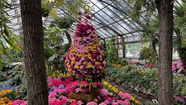Allan Gardens could get a major greenhouse expansion if the city puts in $10M: councillor