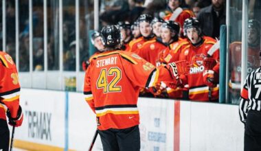 Stewart goes pro with Stuttgart Rebels in Germany