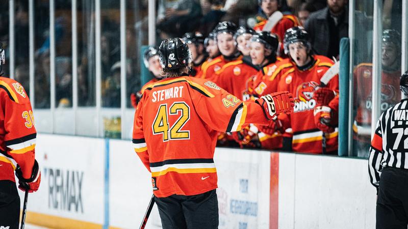 Stewart goes pro with Stuttgart Rebels in Germany