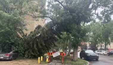 City of Edmonton taps Calgary forestry crews to help clear tree debris from back-to-back storms