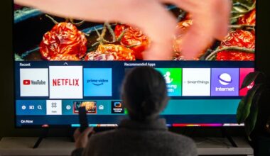Ottawa plans to end 'Netflix tax,' replace with public Canadian content funding: document