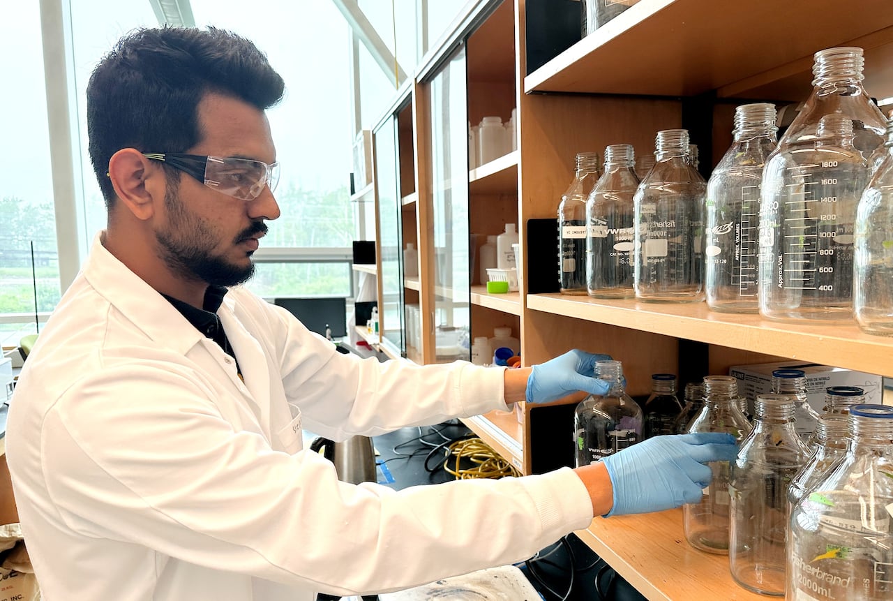 A man with black hair, beard and moustache wearing a white lab coat and safety glasses puts glass measuring containers on a shelf.