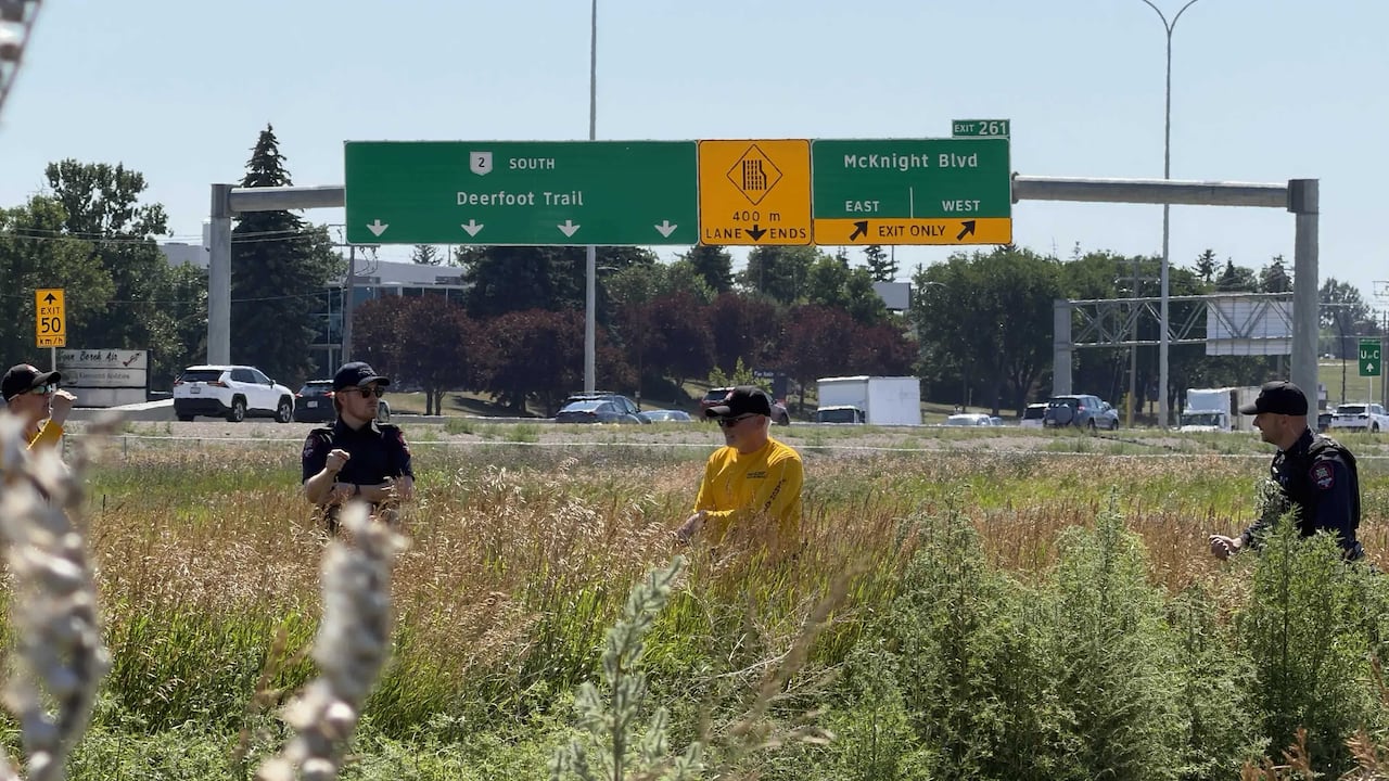 Three men walk through tall grass near Deerfoot Trail.