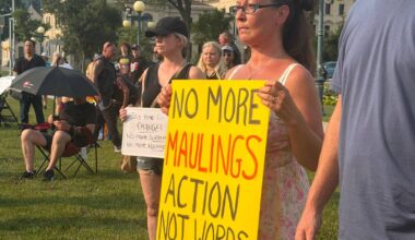 Province urged to lead effort to prevent dog maulings – Winnipeg Free Press
