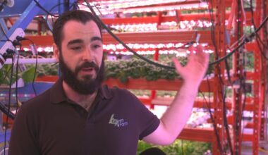 Despite experts warning of AI’s risks, N.L. farmers see new tools as the way of the future