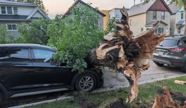 Storm downs trees, leaves thousands without power in Winnipeg