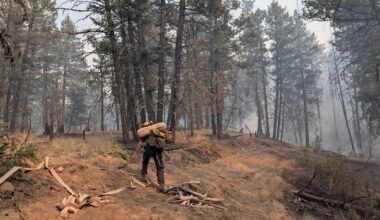 Crews called to rescue resident who defied evacuation order, B.C. Wildfire Service says