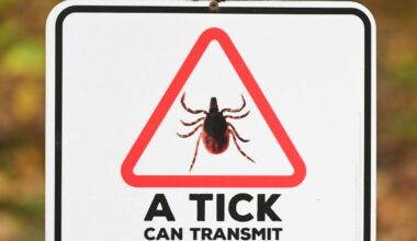 Ticks and infections in Canada: Know the risks