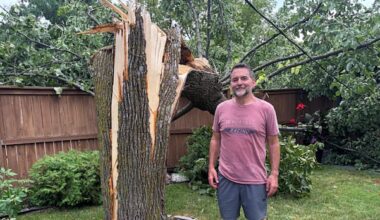 Trees downed, thousands without power after wild winds, lightning shake southern Manitoba 'like an earthquake'
