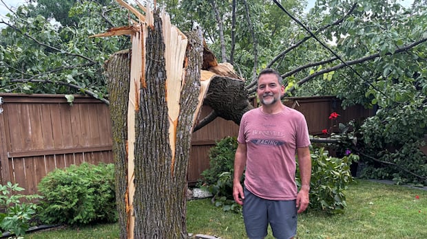 Trees downed, thousands without power after wild winds, lightning shake southern Manitoba 'like an earthquake'