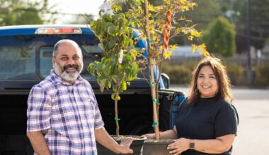 Surrey’s popular $20 tree sales return this summer