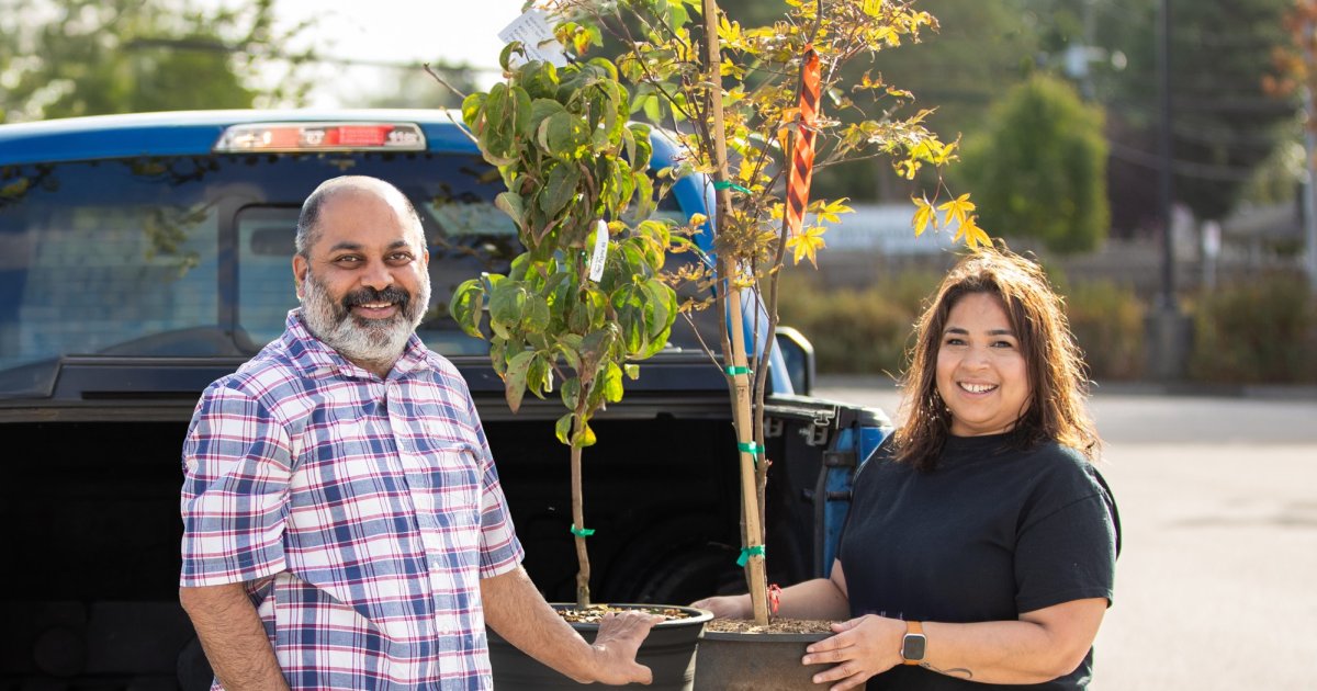 Surrey’s popular $20 tree sales return this summer