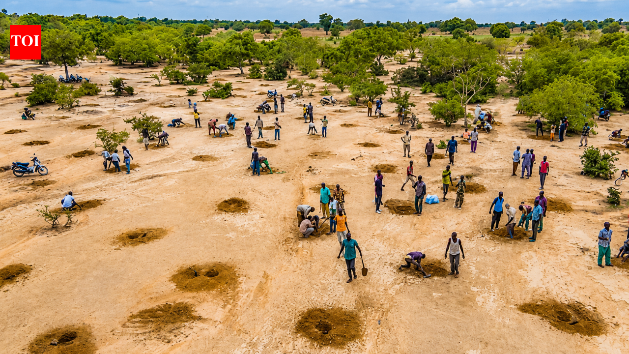 After decades of drought, water is returning to the south of the Sahara Desert as ancient farming techniques and the Great Green Wall breathe new life into the Sahel |