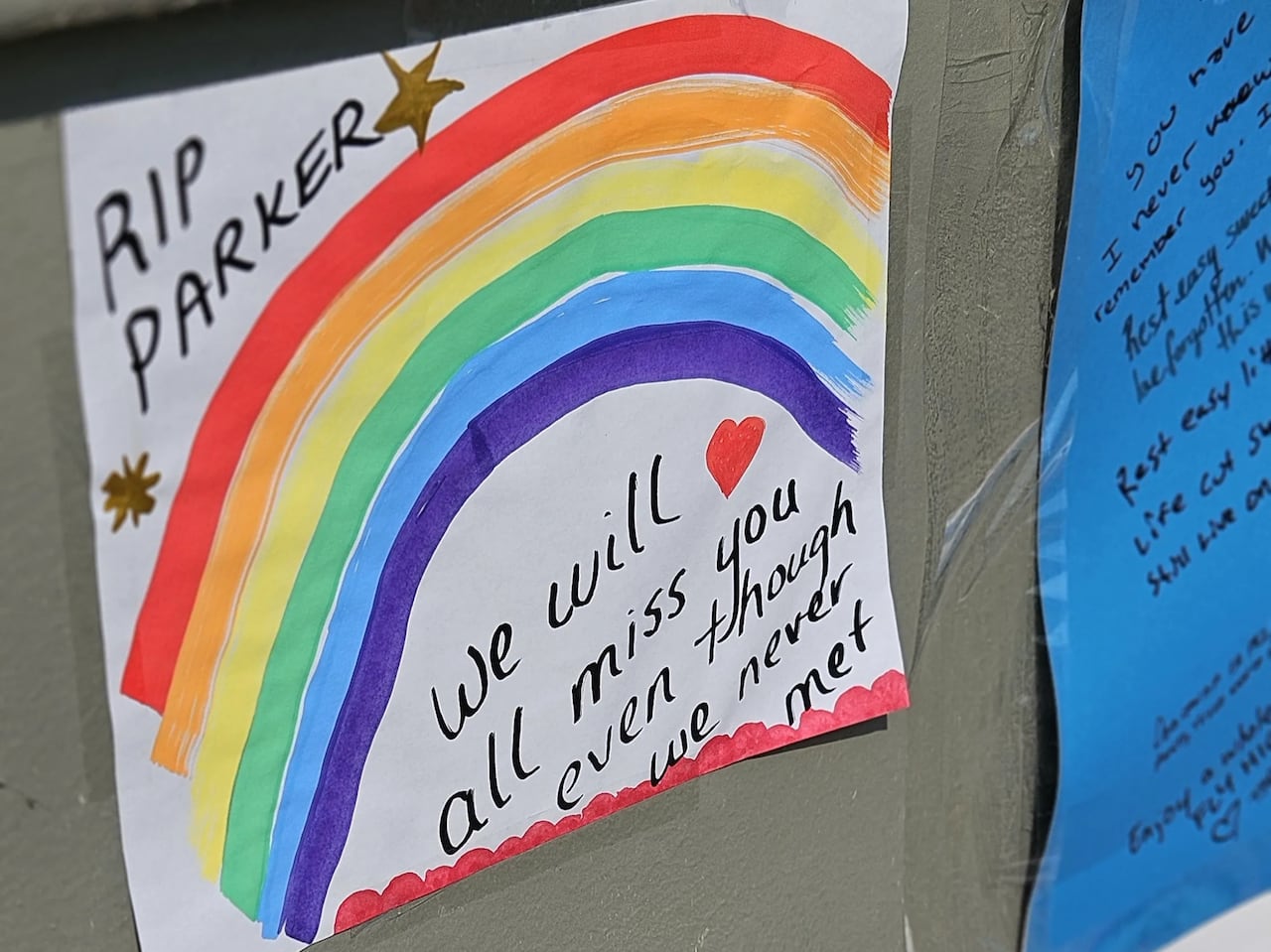 A sign with a rainbow on it is pinned to a board.