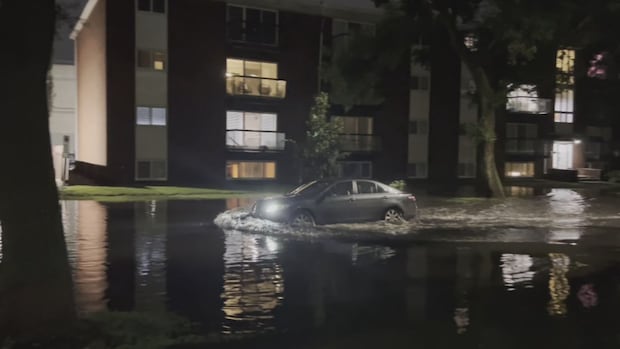 Dealing with flood damage? Insurance experts have tips for Edmonton homeowners