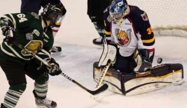 OHL approves sale of Barrie Colts to Toronto-area businessman John Careri | NanaimoNewsNOW