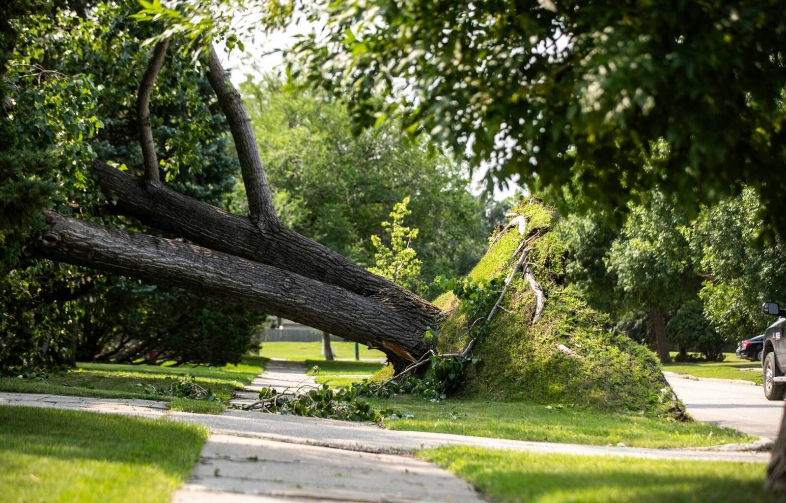 Crews work to restore power to final 6,500 customers after storm – Winnipeg Free Press