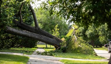 Crews work to restore power to final 6,500 customers after storm – Winnipeg Free Press