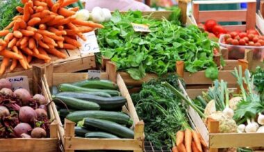 Surrey says no to setting up its own food charter