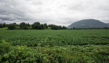 B.C. begins 6-week engagement on ALR changes for food processing