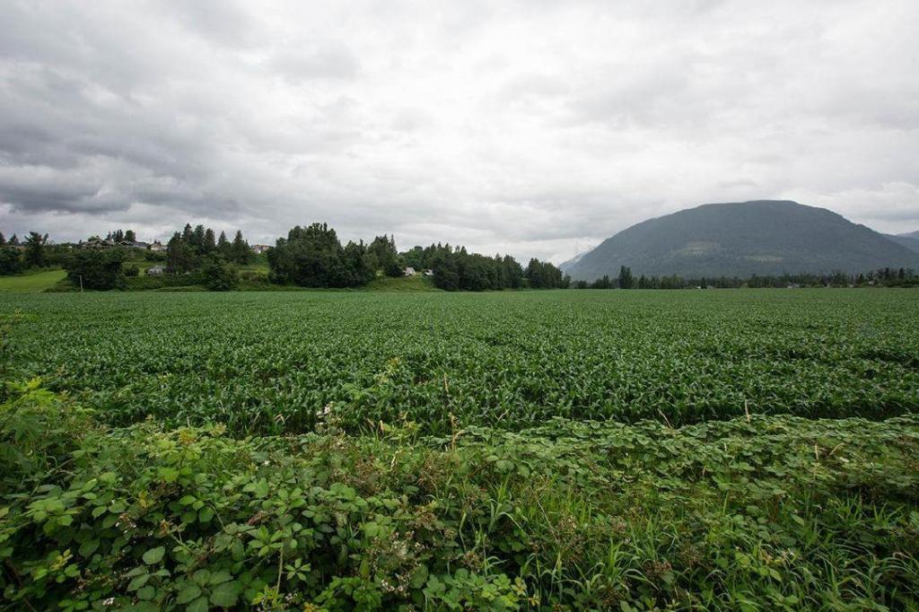 B.C. begins 6-week engagement on ALR changes for food processing