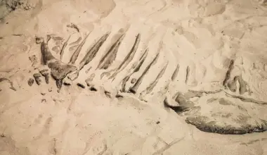 Yeni Şafak