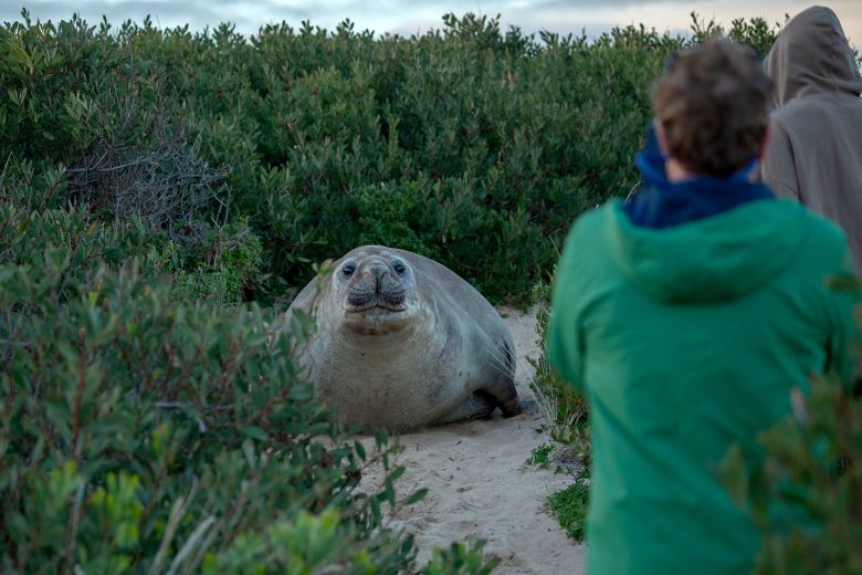 When Neil isn't in residential areas, he can often be found on the beaches and shores of Tasmania.