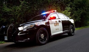 Break-in and flight from police north of Brampton leads to charges