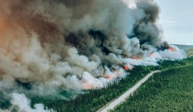 Wildfire smoke causes poor air quality in Ottawa