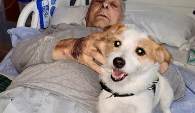 94-year-old waits days in hospital hallway for inpatient bed