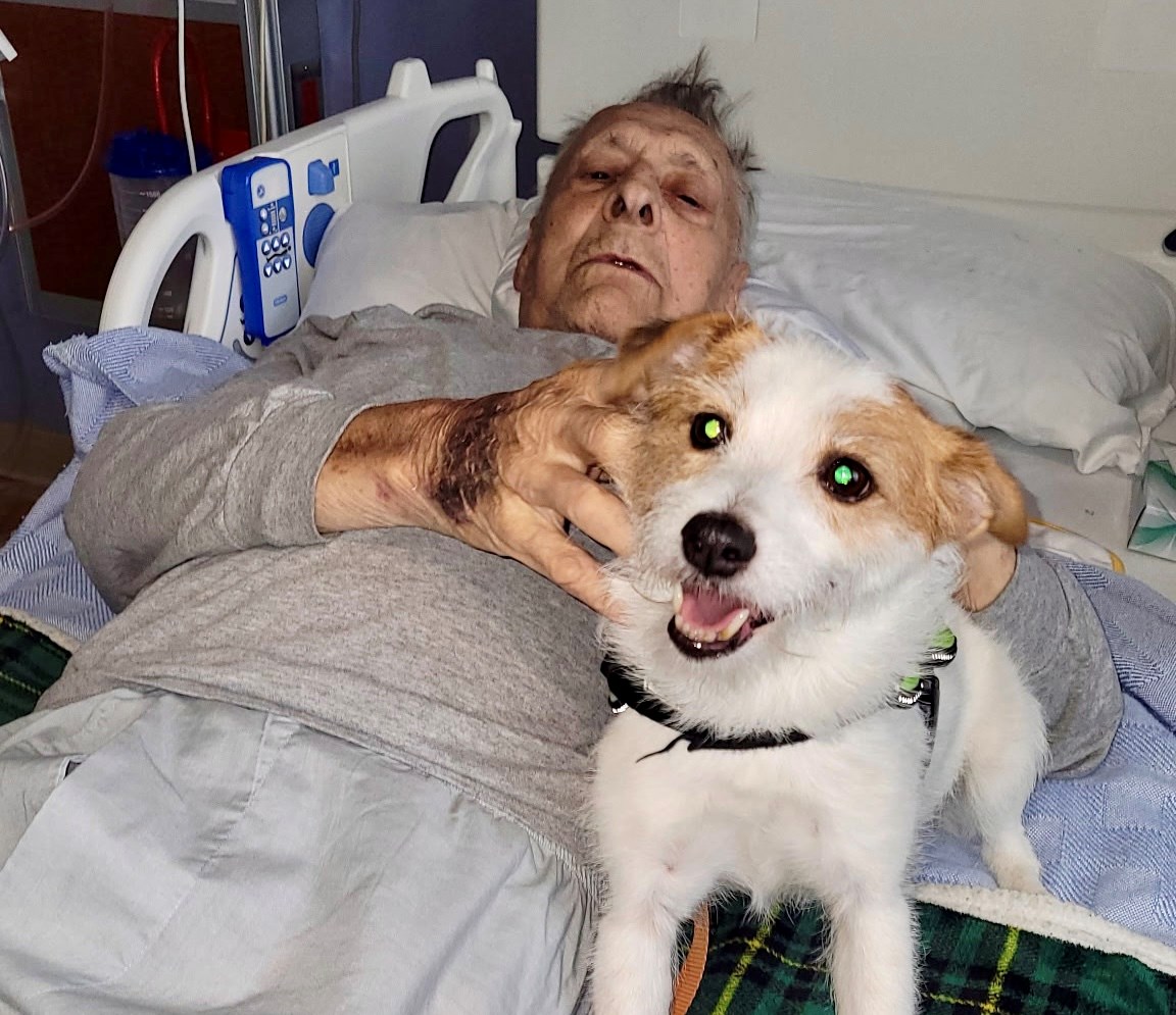 94-year-old waits days in hospital hallway for inpatient bed