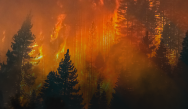 Emergency response workers need more, not less