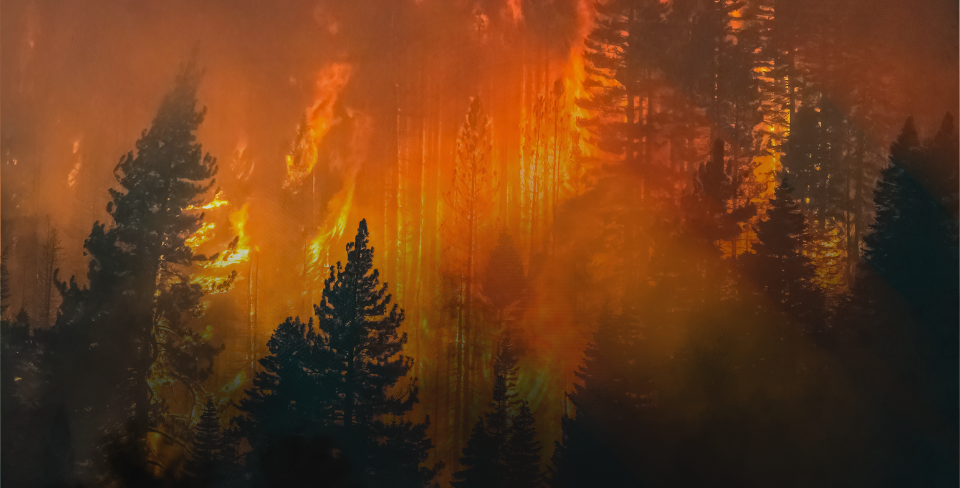 Emergency response workers need more, not less