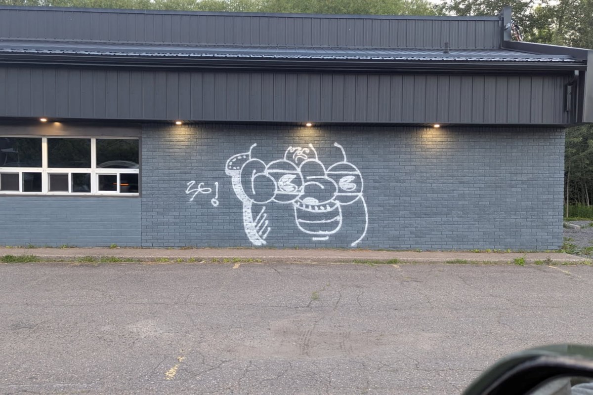 CRIME OF THE WEEK: Police hoping to identify rampant graffiti artist