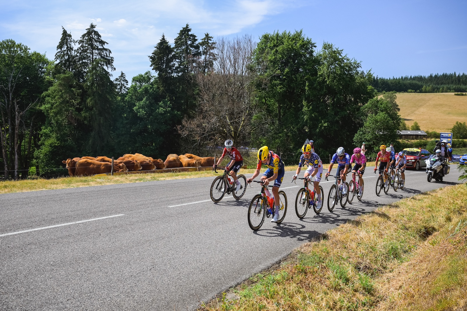 12/07/2026 – Tour de France 2026 – Étape 9 - Malemort > Ussel (154,6 km). Photo: Charly Lopez/ASO